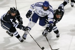 爱游戏-猛龙失利西亚卡姆表现一般，猛龙西卡亚姆能力