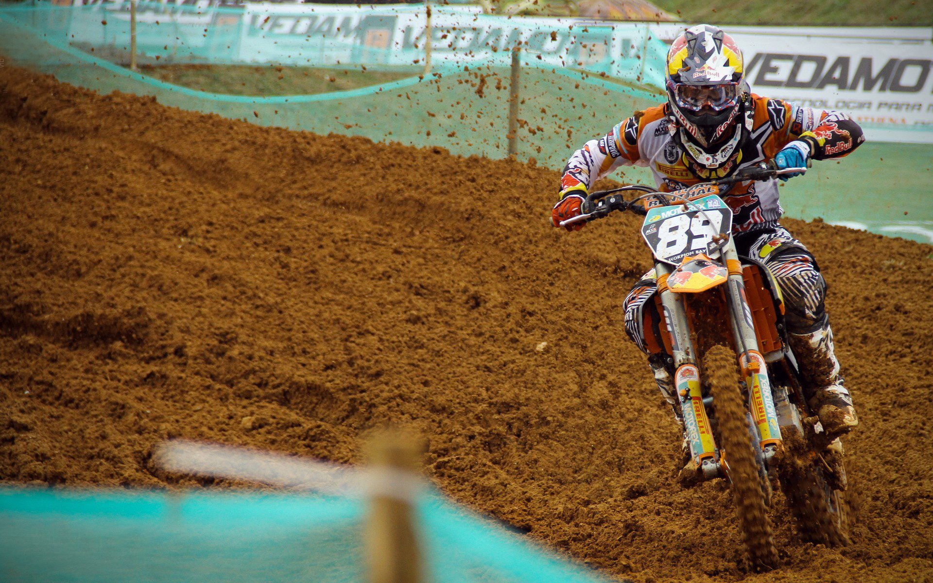 青少年体育精神在比赛中彰显,推动体育文化价值深植社会,推动青少年体育事业蓬勃发展的文件